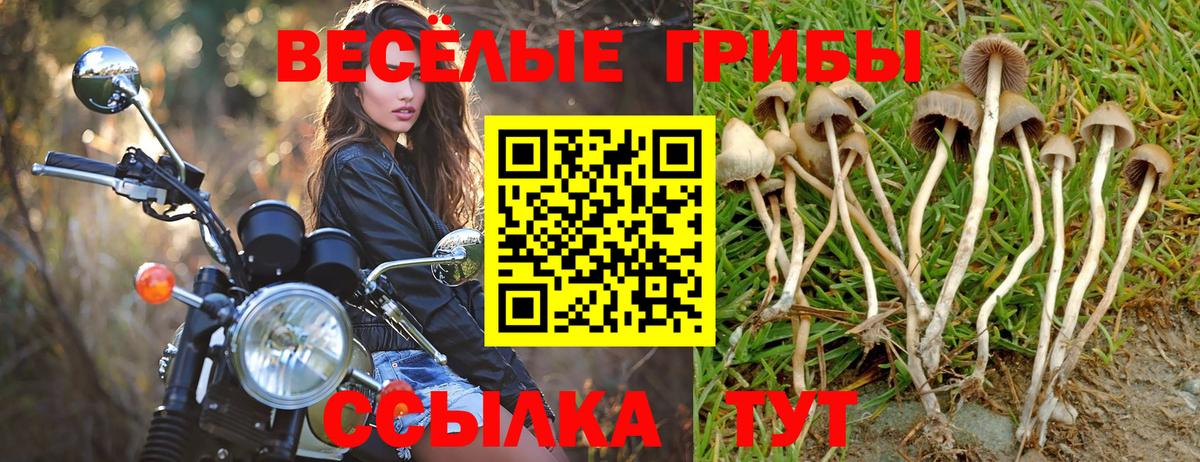 Галлюциногенные грибы MAGIC MUSHROOMS Маркс