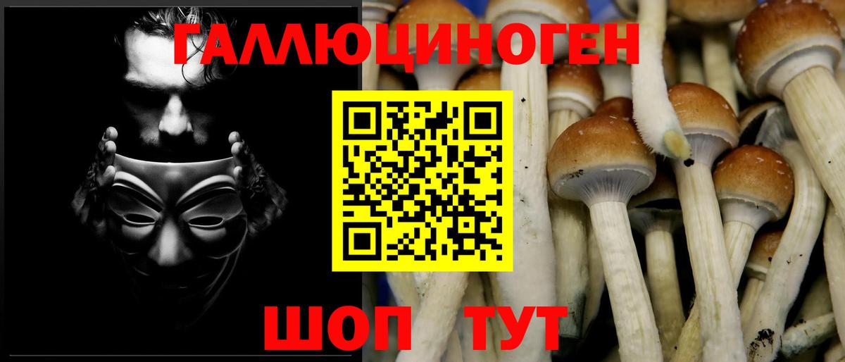 Галлюциногенные грибы GOLDEN TEACHER  Вход с VPN  Маркс 